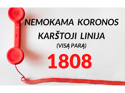 1808 linijos vadovė: situacija dėl skambučių, mobiliųjų punktų užimtumo kiek pagerėjo
